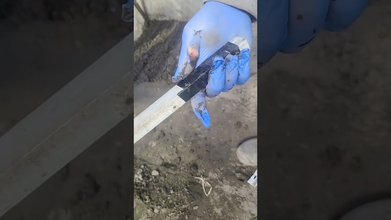 У каналі Сергій Тварини і Рослини відбувається прямий ефір.