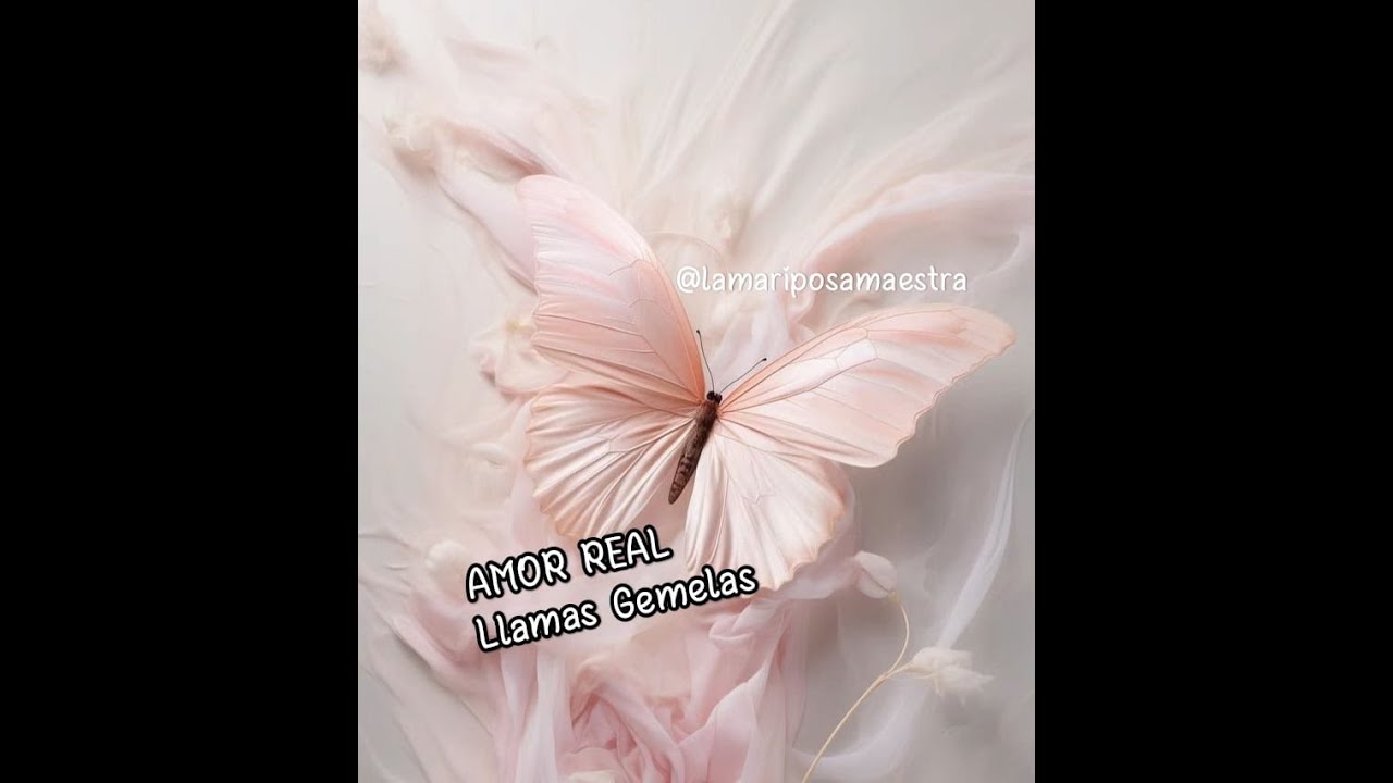 LLAMAS GEMELAS y el EFECTO ESPEJO