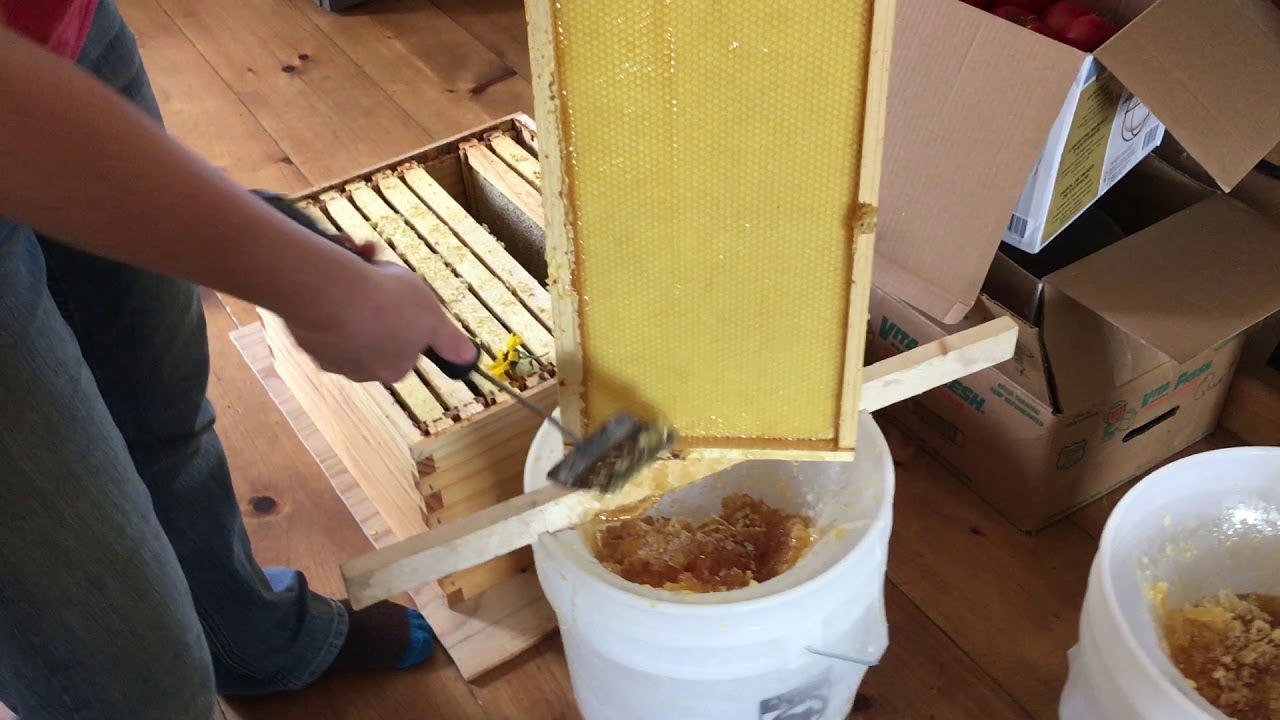 How to Harvest Honey and Beeswax Without an Extractor