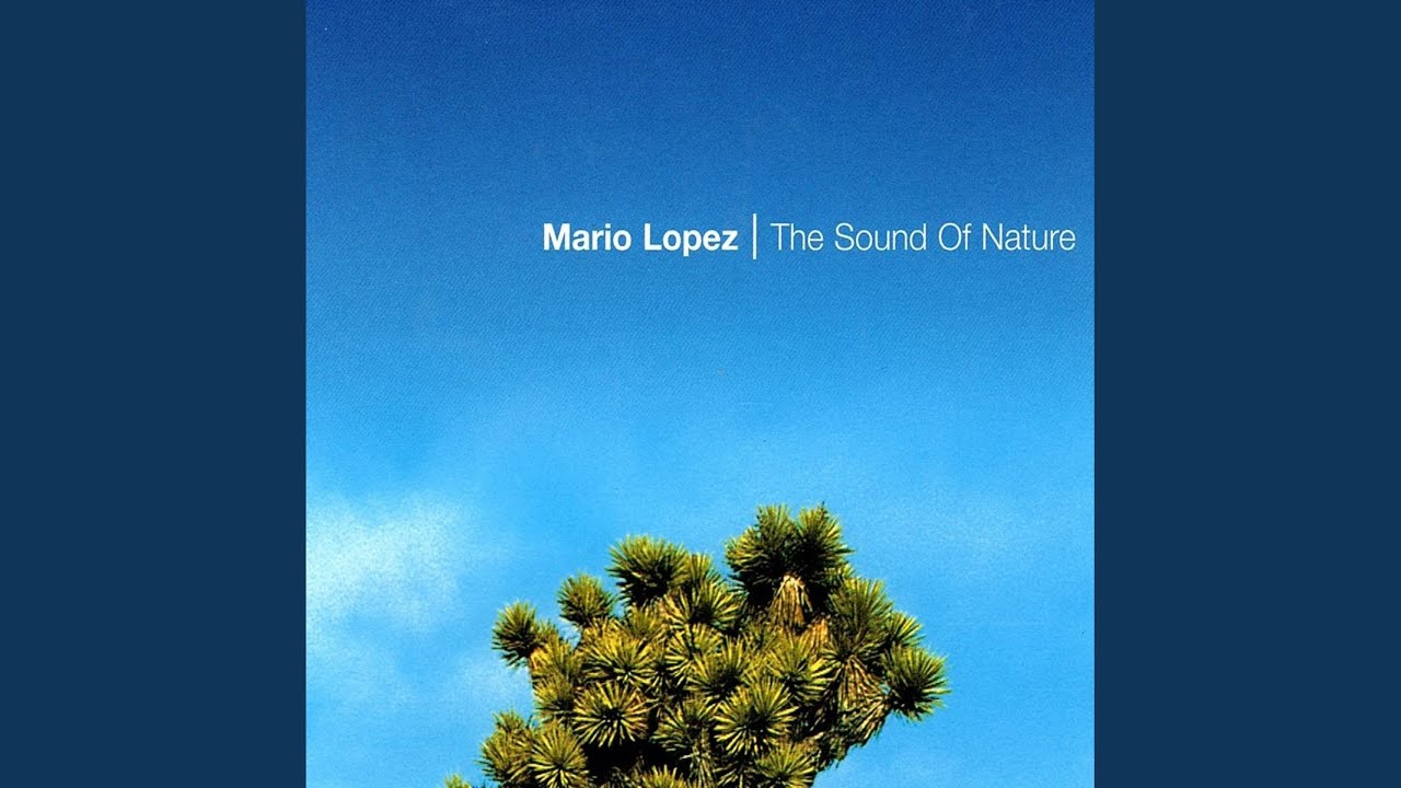 The Sound of Nature (Club Attack Plug'n'play)