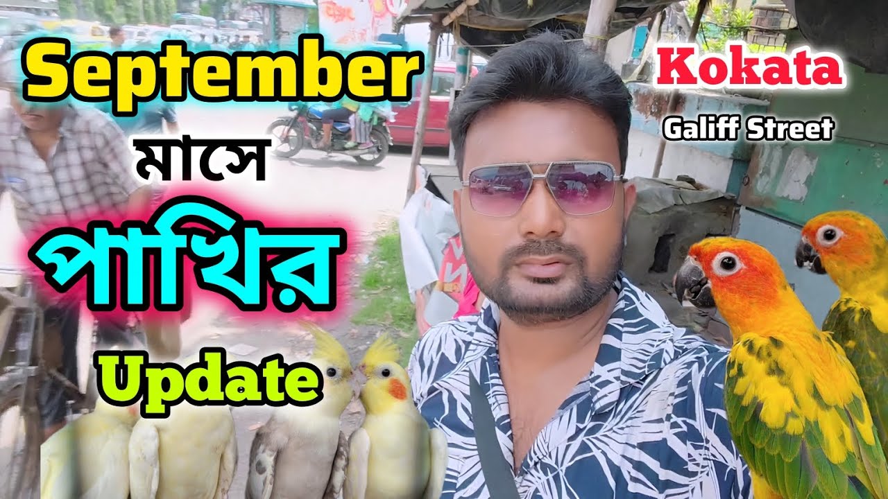 সেপ্টেম্বর মাসে পাখির Update | Kolkata Pet Bird Market | Sunday Galiff Street Market