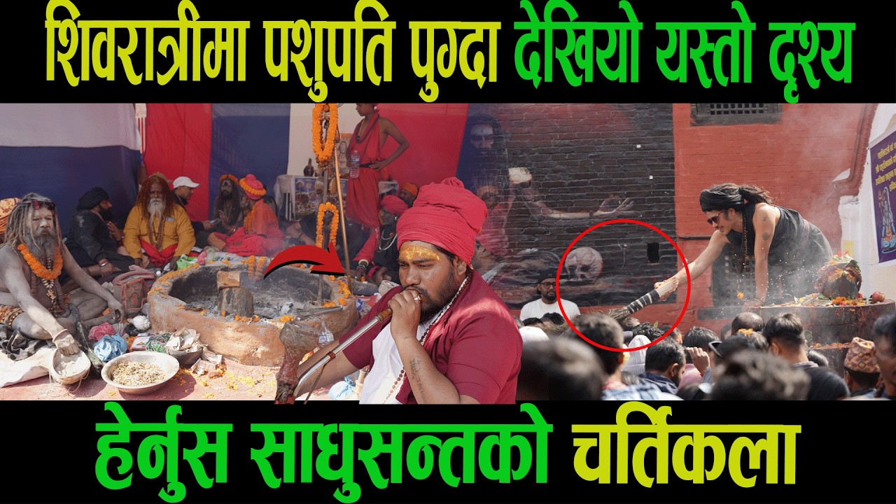 शिवरात्रीमा पशुपति पुग्दा देखियो यस्तो दृश्य| हेर्नुस साधुसन्तको चर्तिकला|Sarita|Goodtv|