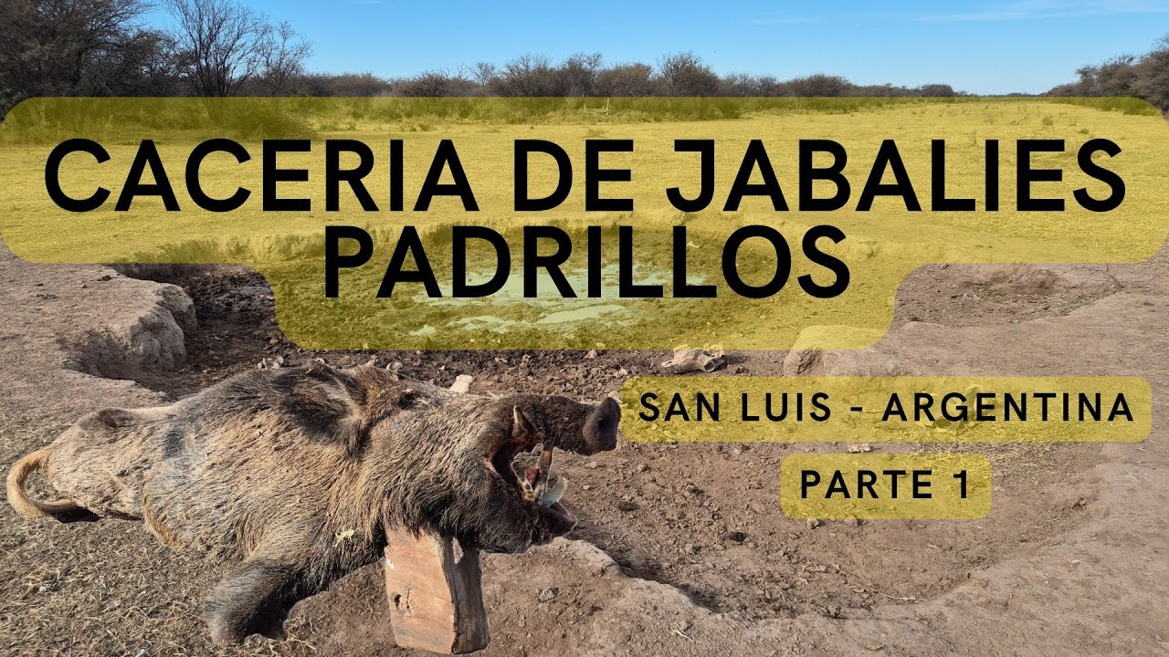 Cacer&iacute;a de Jabal&iacute;es Padrillos. San Luis Argentina. PARTE 1. Free Range. Big Game. Wild Boar.