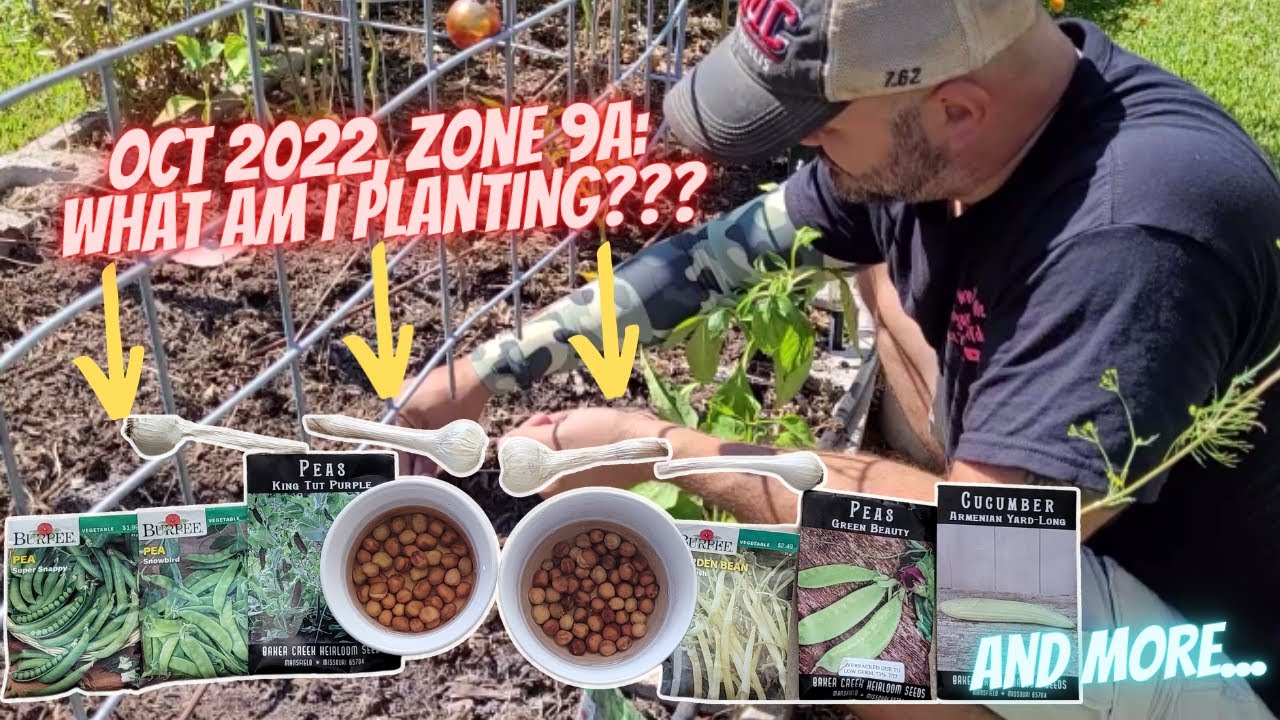 Planting Guide for Zone 9A in October || Down-Home Backyard Gardening
