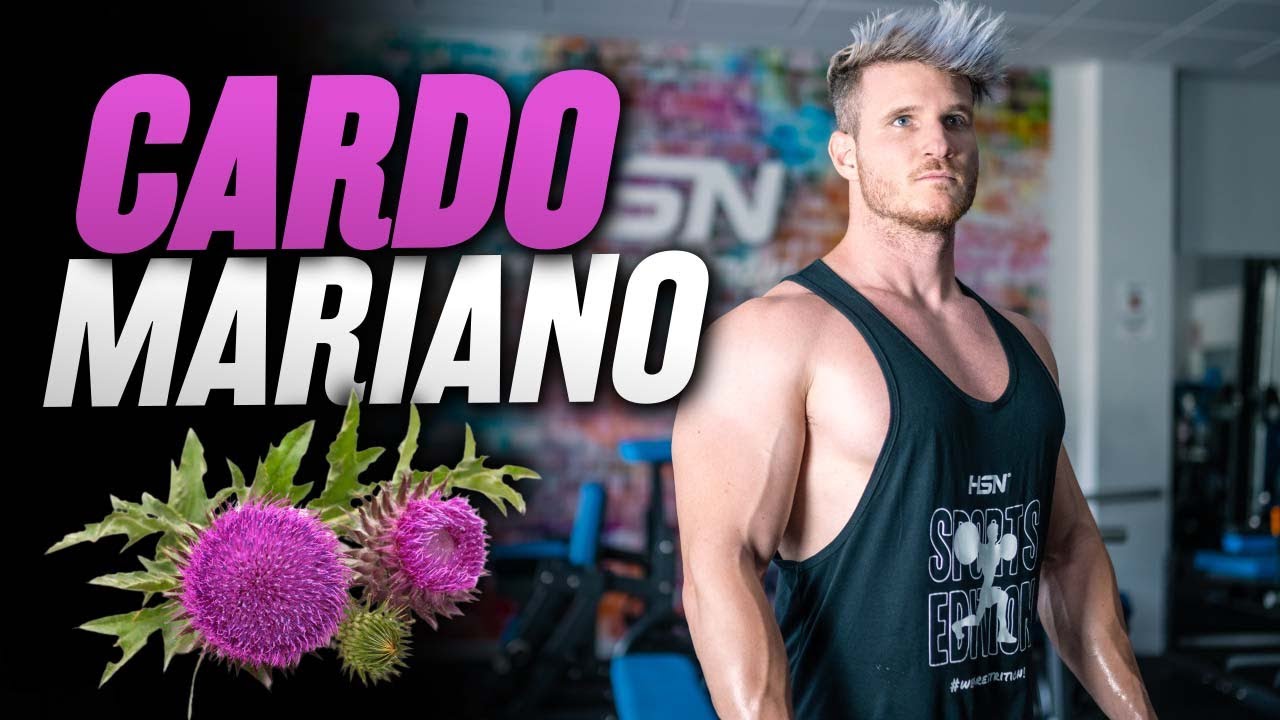 CARDO MARIANO 🌿 ¡Todos sus BENEFICIOS y cómo tomarlo!