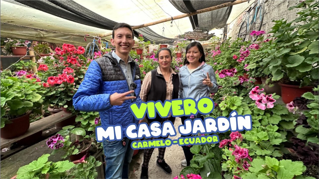 400 colores de Geranios en el Carmelo, Ecuador | YeiGuerraM
