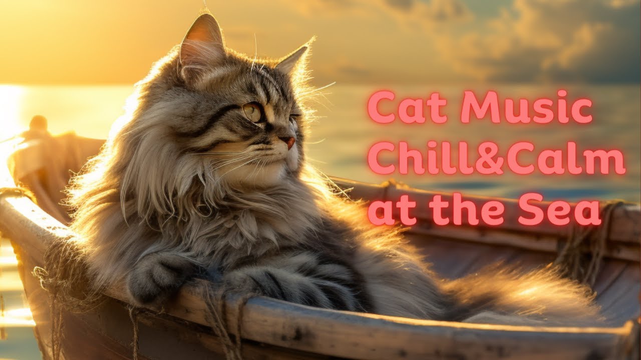 Soothing Cat Music: Relaxing Ocean Waves and Serene Sounds #cats #cute #catvideos #music #relaxing