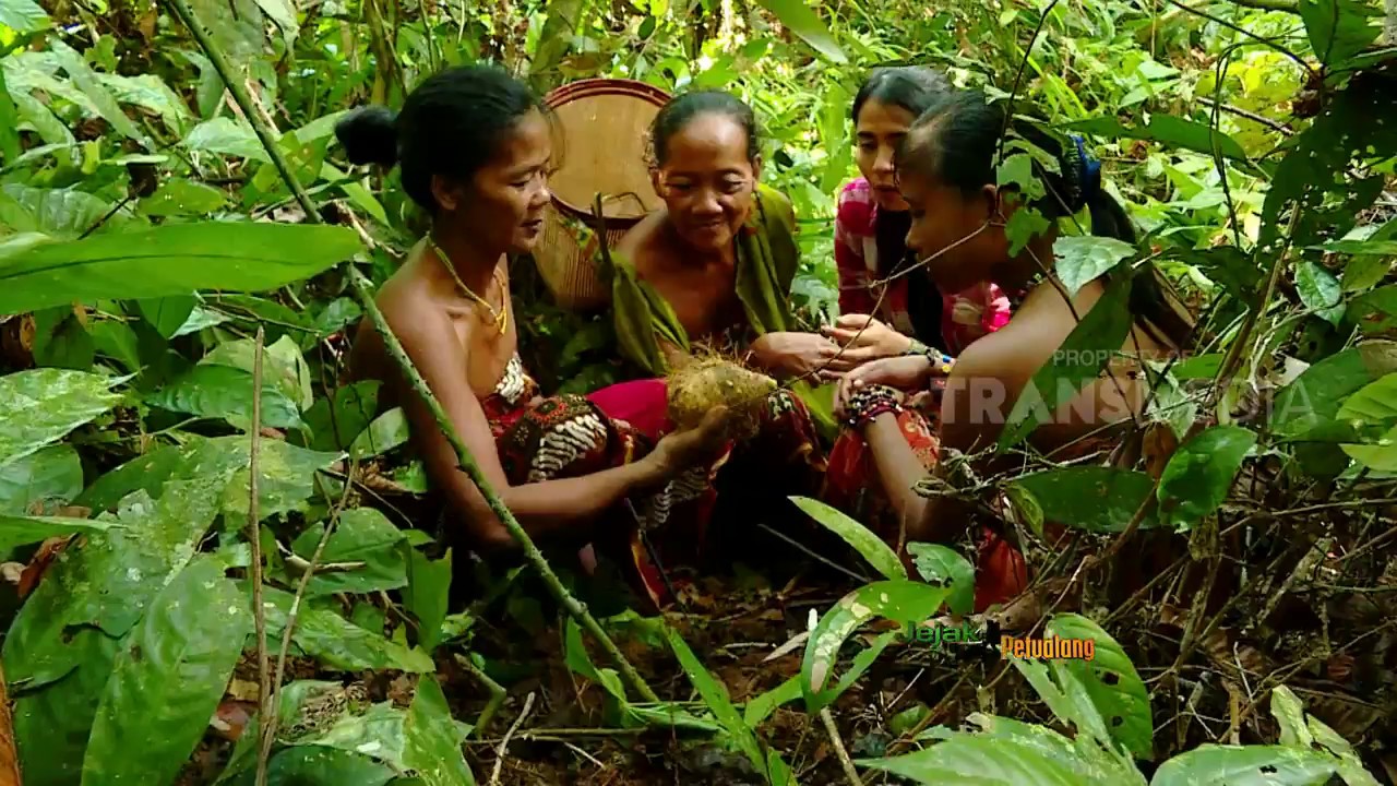 JEJAK PETUALANG | WARISAN HUTAN SUKU ANAK DALAM JAMBI (03/07/18) 1-3