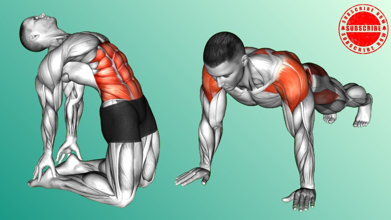How to Fix Anterior Pelvic Tilt (Core & Glute Activation).