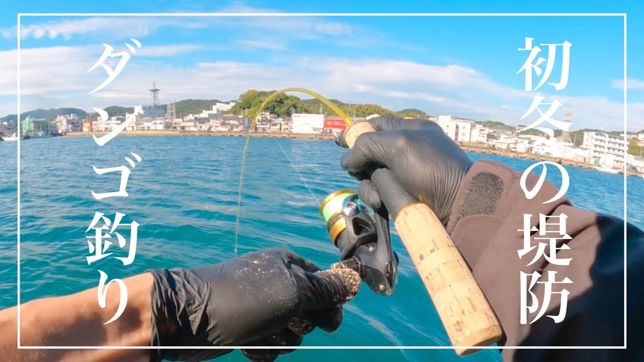 【ダンゴ釣り】初冬の堤防でダンゴ釣り。