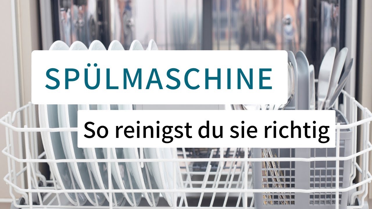 Spülmaschine - gründliche Reinigung mit dem Machine n clean