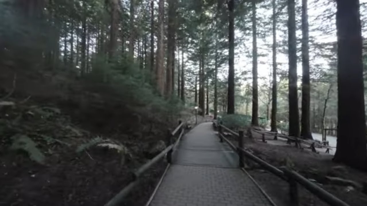 Places to visit UK - Center Parcs Longleat - Early morning walk