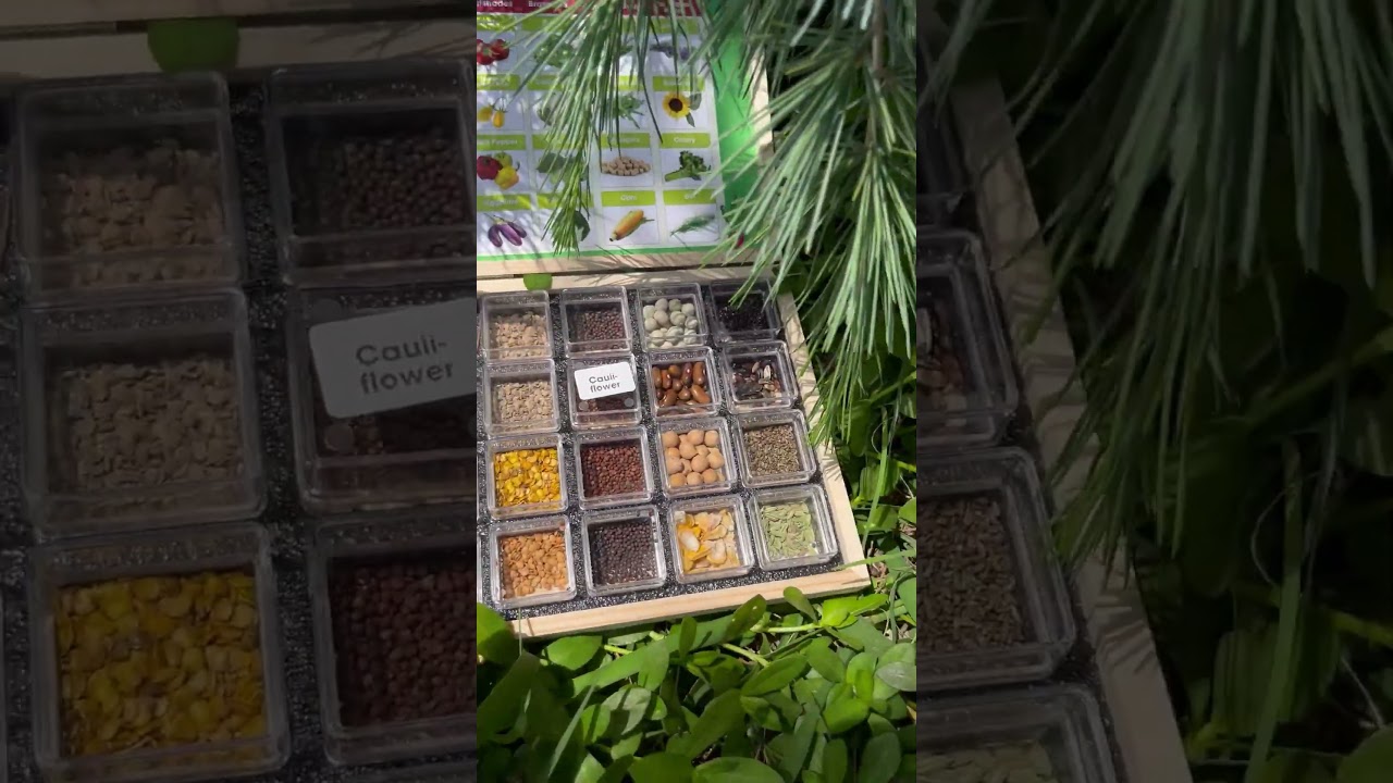 LEVO GROW all-in-1 seed bank Unboxing