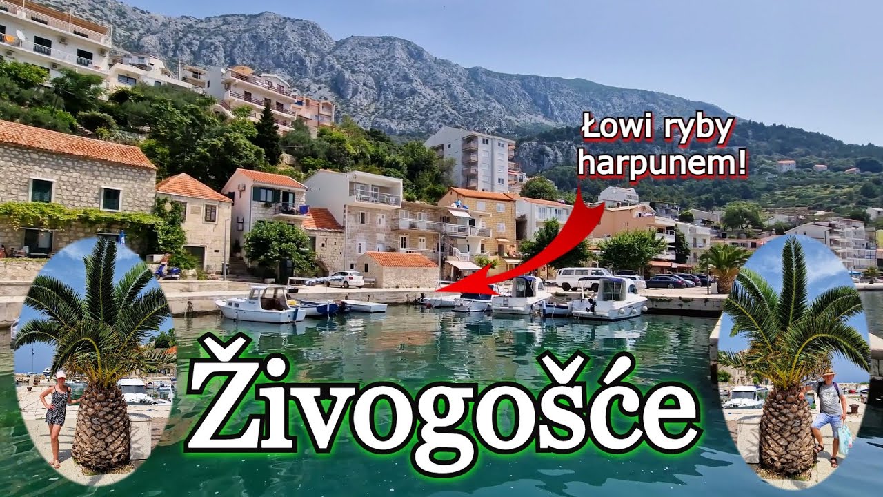Jedziemy do Živogošće CHORWACJA Plaża Porat Riviera Makarska Ceny Apartamenty Croatia Vlog