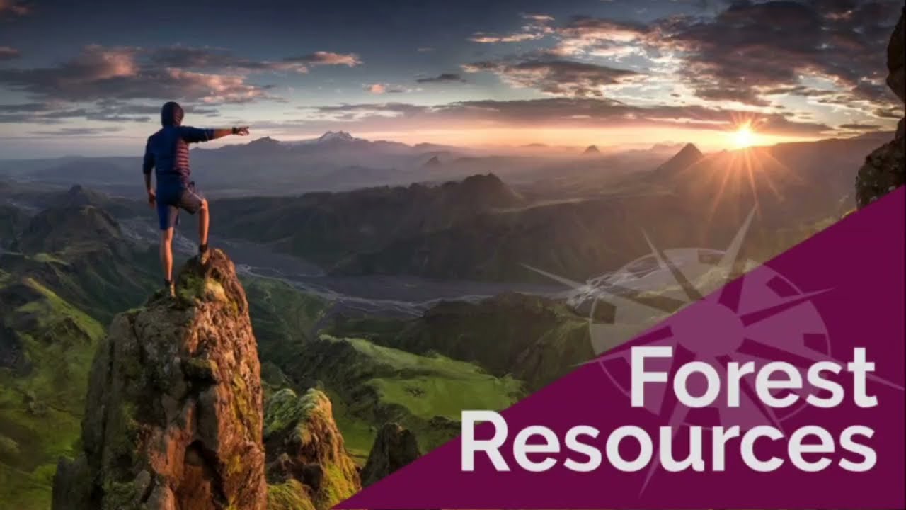 Forest resources | deforestation | benifits of forest | Hindi Explaination