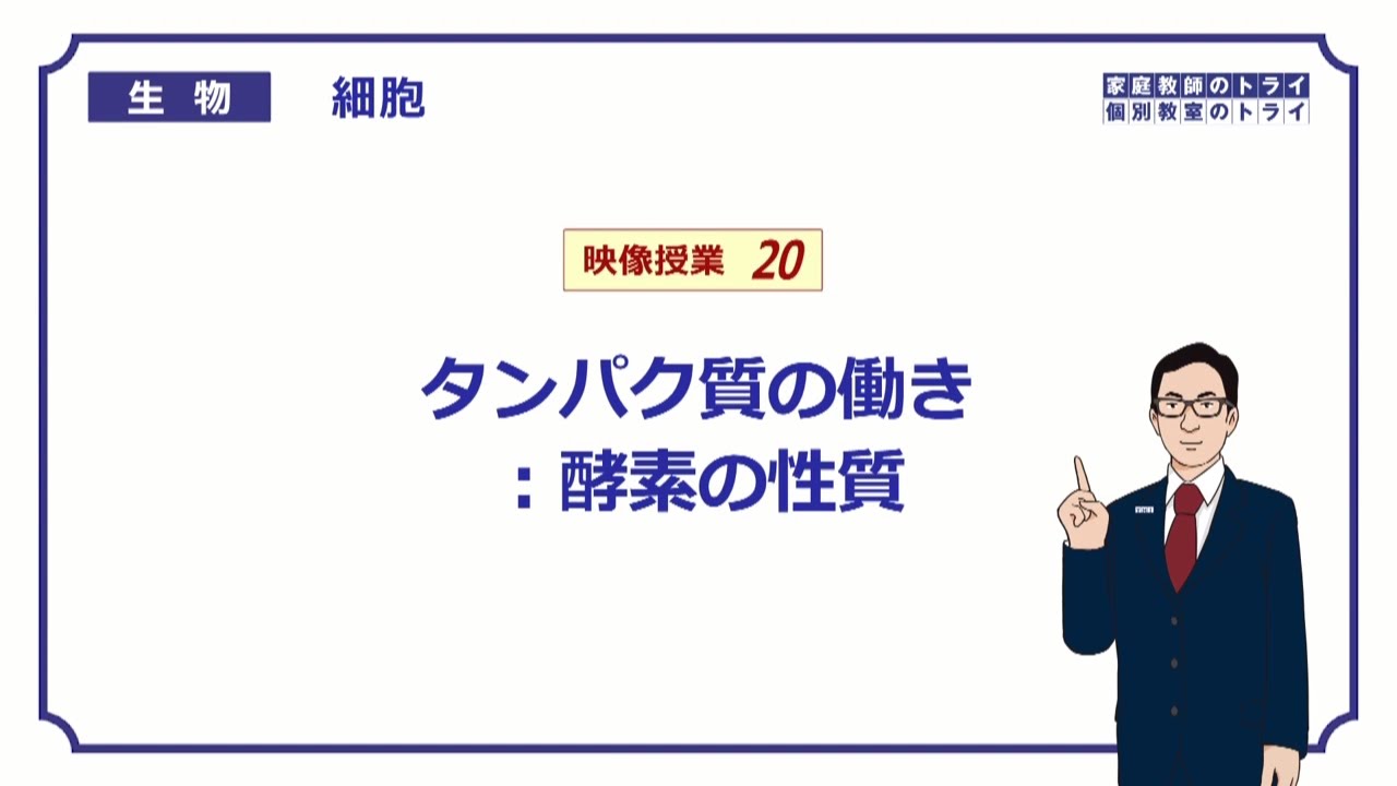 【高校生物】　細胞20　酵素の性質（１７分）