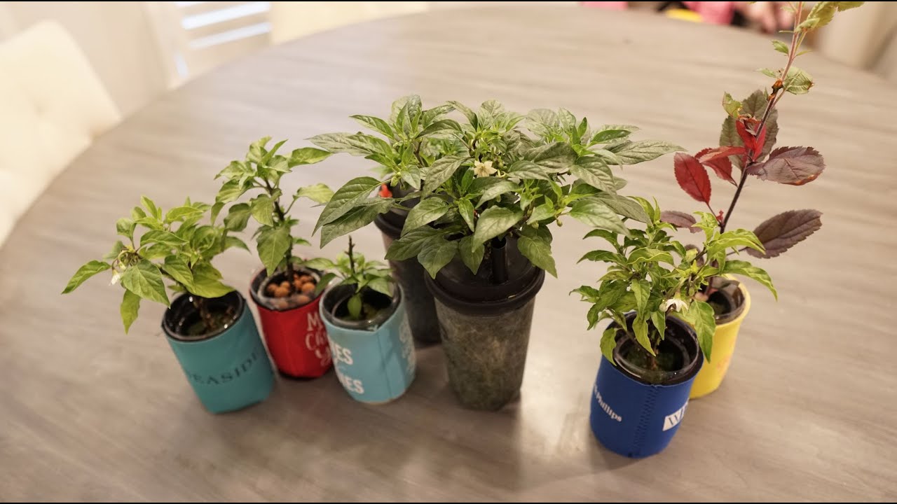 Answering Questions About Mini Hydro Systems