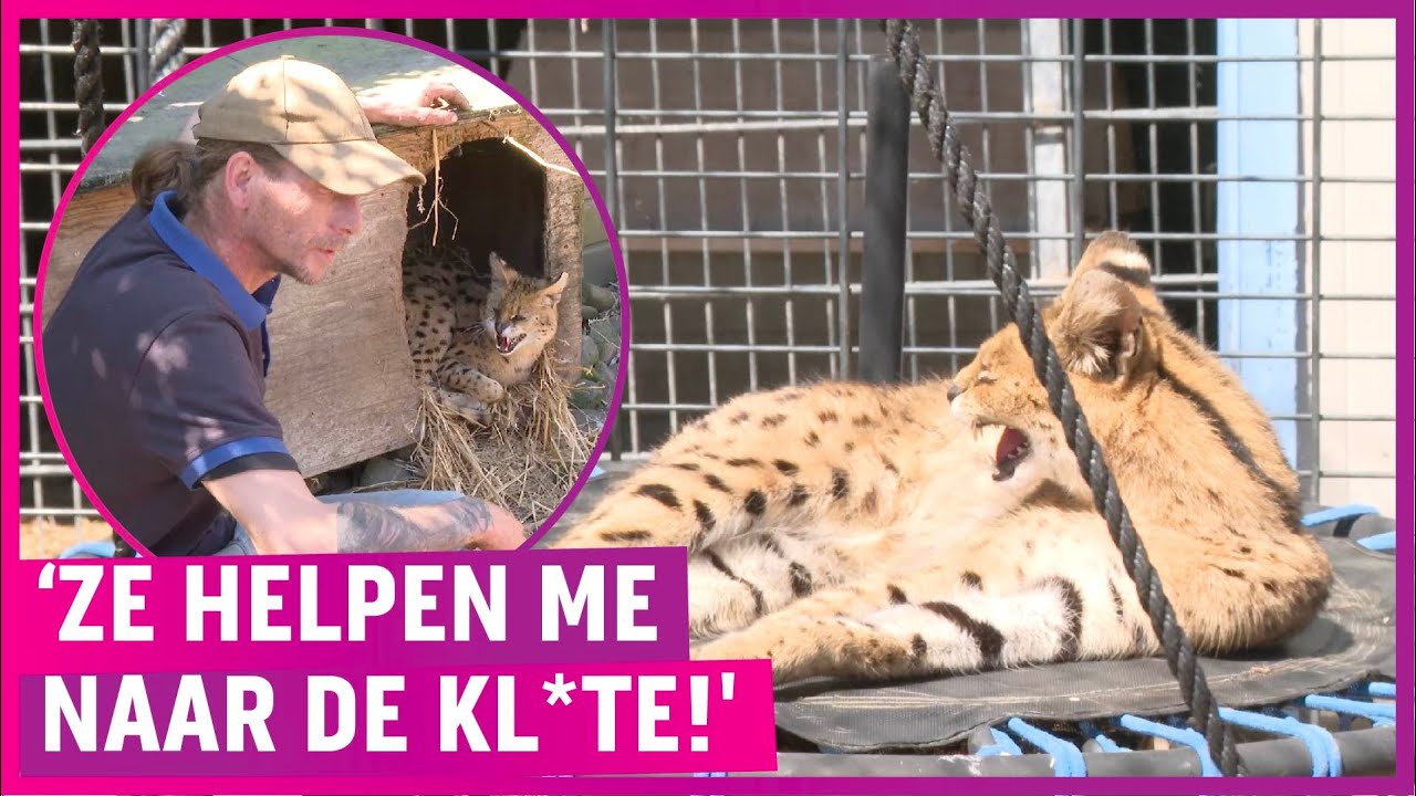 Keiharde clash tussen dierenverblijf en gemeente: &lsquo;Geen hart!'