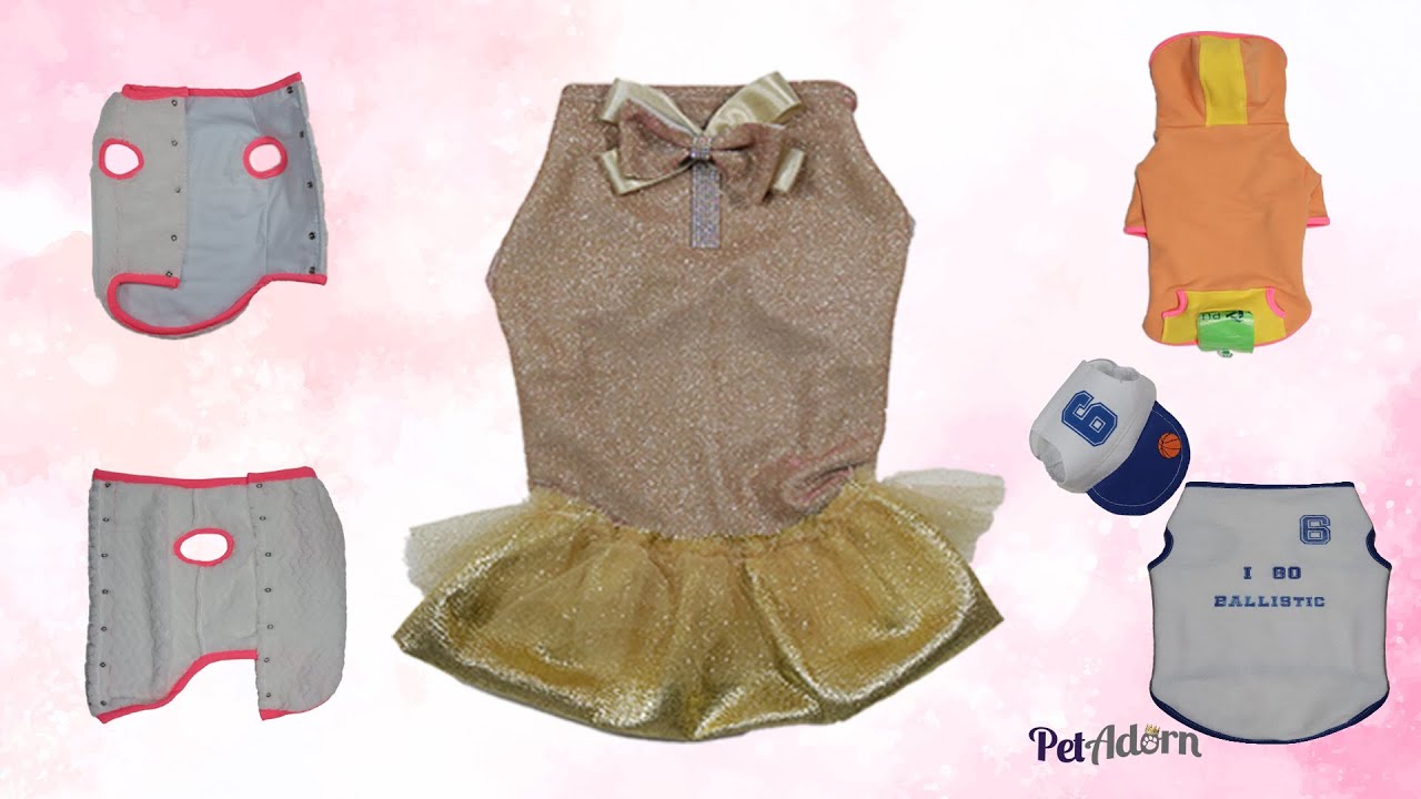 Dog Clothes for Special Occasions: Weddings & Parties Pt. 4/5
