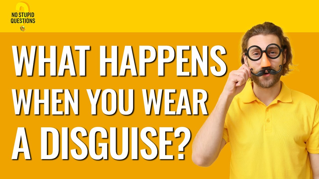 217. What Happens When You Put on a Costume? | No Stupid Questions