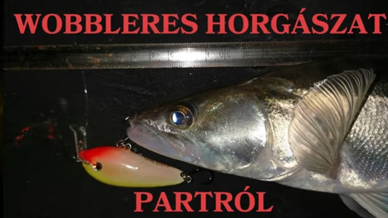 WOBBLERES HORGÁSZAT PARTRÓL-Mikor? Mivel? Hogyan?