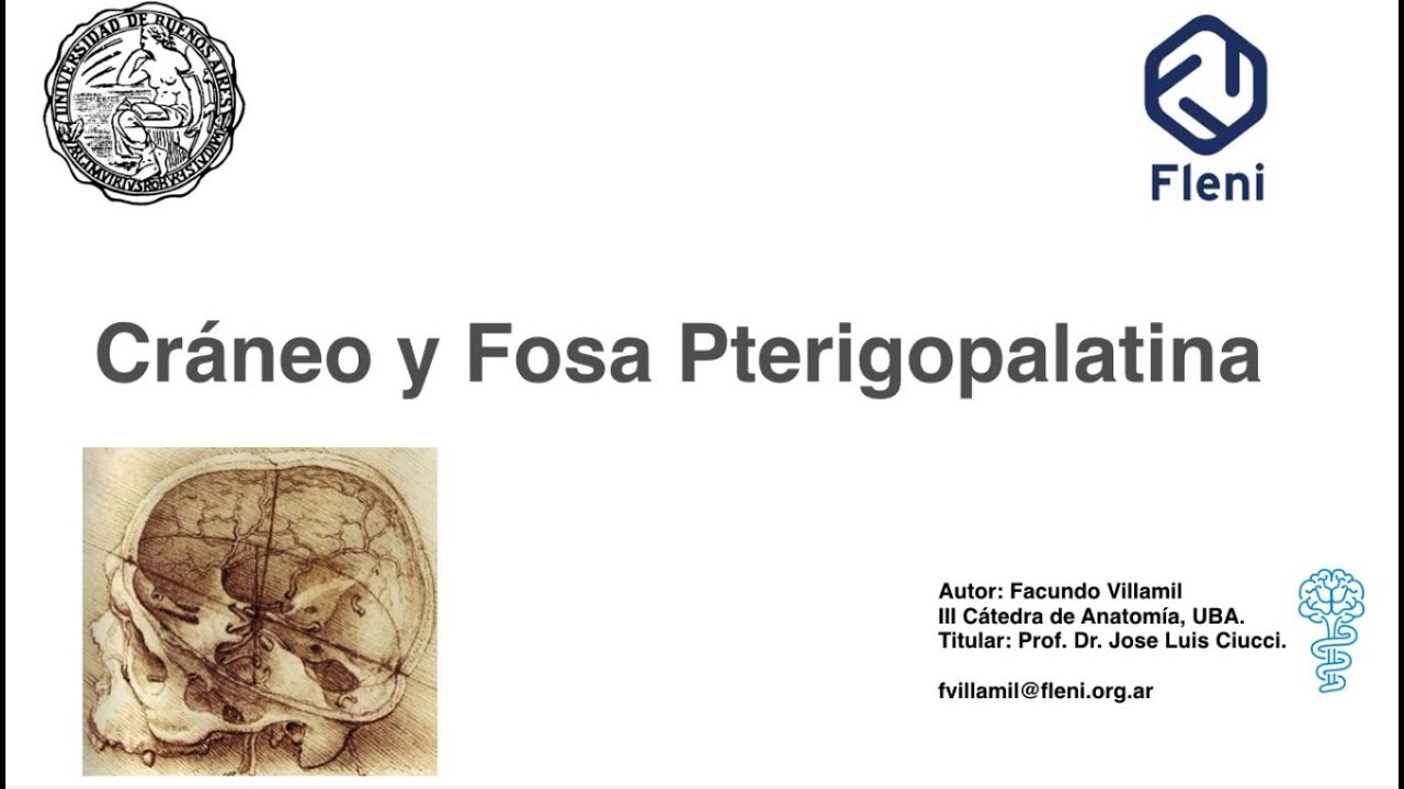 Cráneo y Fosa Pterigopalatina