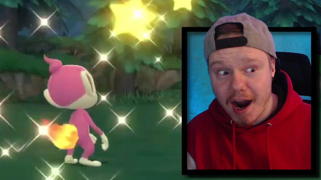 Live Shiny Chimchar in Pokemon Brilliant Diamond & Shining Pearl!