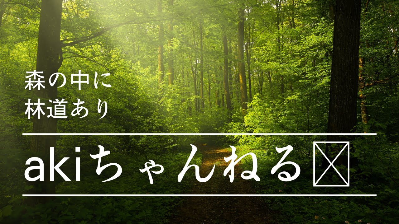 akiとhikaruの珍林道（悲鳴が多いです(笑)）