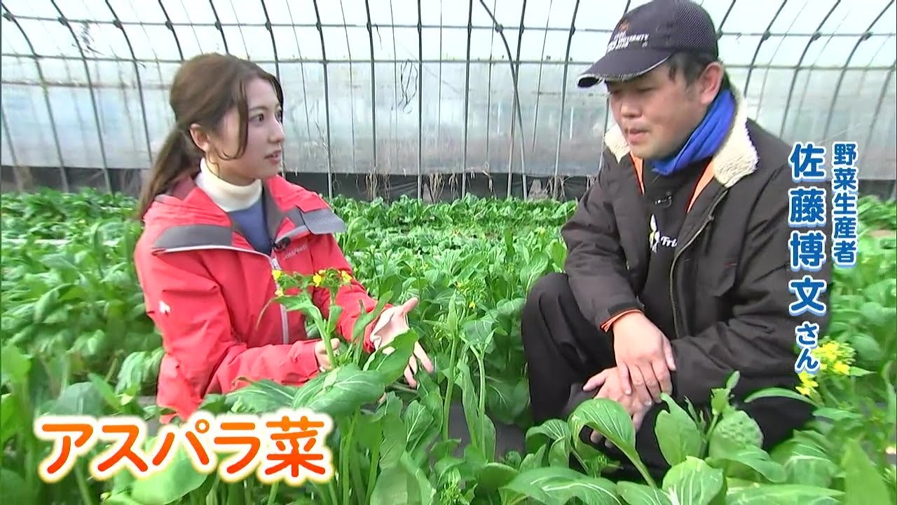 鍋もいけます なんでも使えます「アスパラ菜」という野菜を知っていますか？｜【笑味ちゃん天気予報】2026年1月27日放送