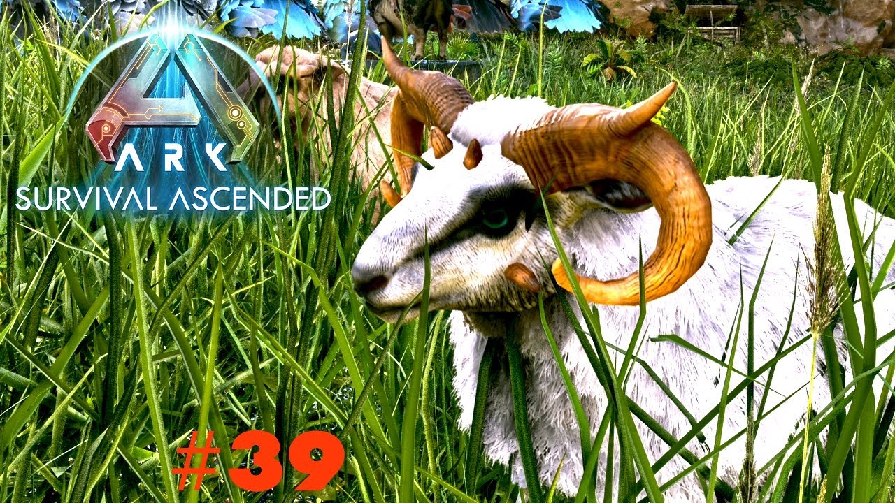 ARK Survival Ascended | PC | Ovis (Schaf) gefunden und gezähmt  #39     #ovis #schaf #zähmen