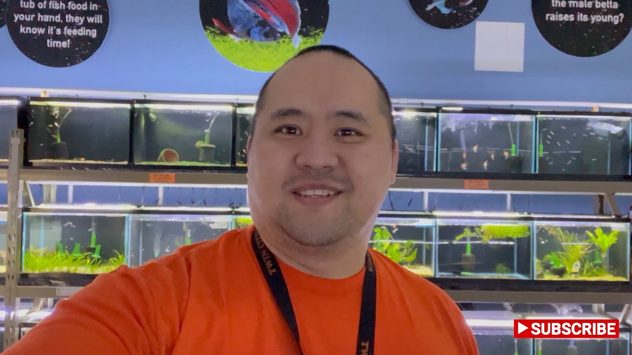 Twin Cities Guppies Store Makeover!