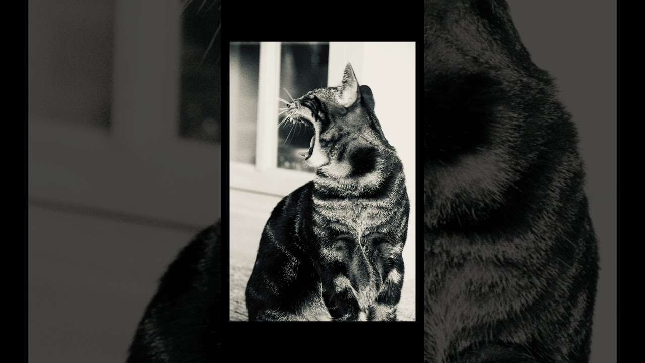 Nothing But Thieves - Itch (Super Slowed)