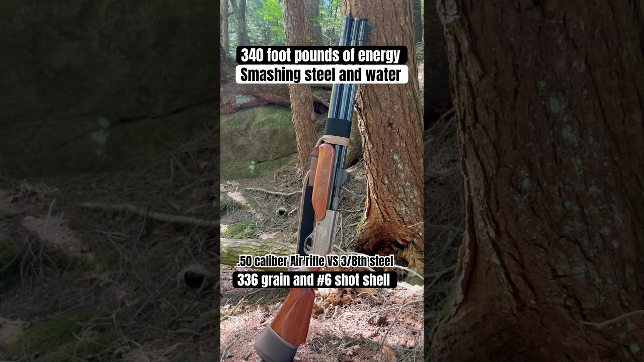 .50 cal Seneca DragonClaw II air rifle VS 3/8th steel target