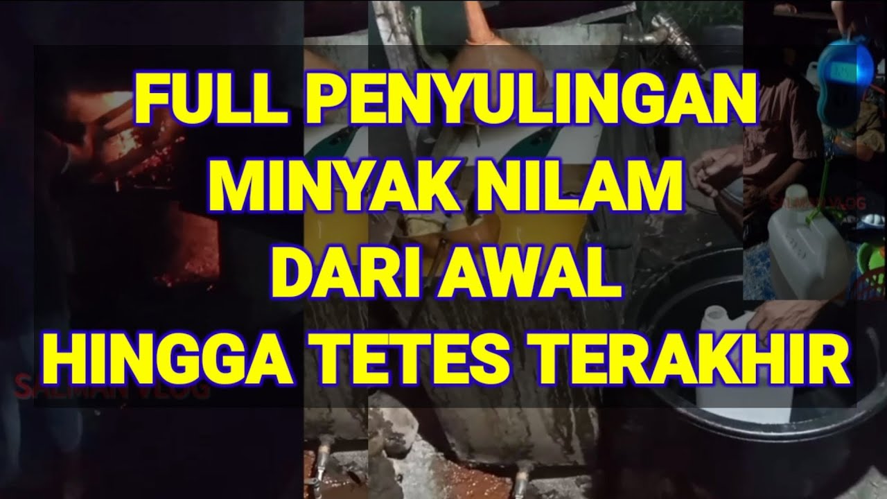 PROSES PENYULINGAN MINYAK NILAM DARI AWAL SAMPAI SELESAI