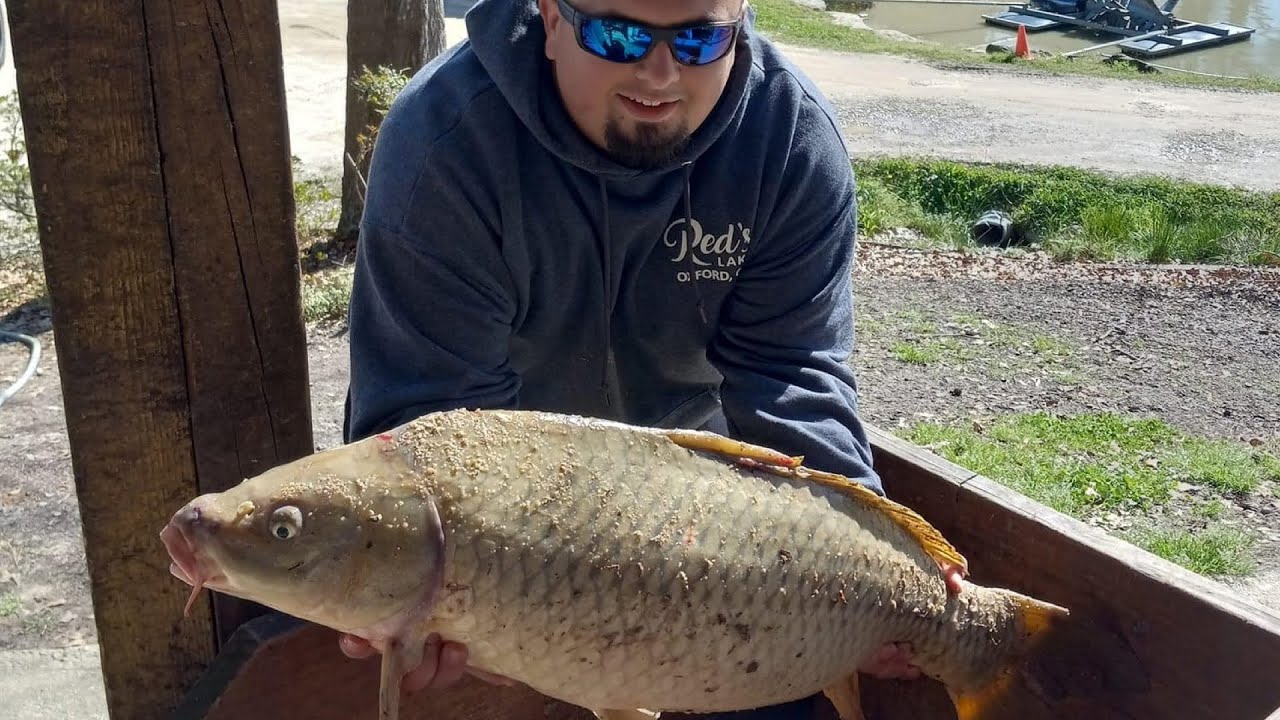Double 21’s at Reds Paylake