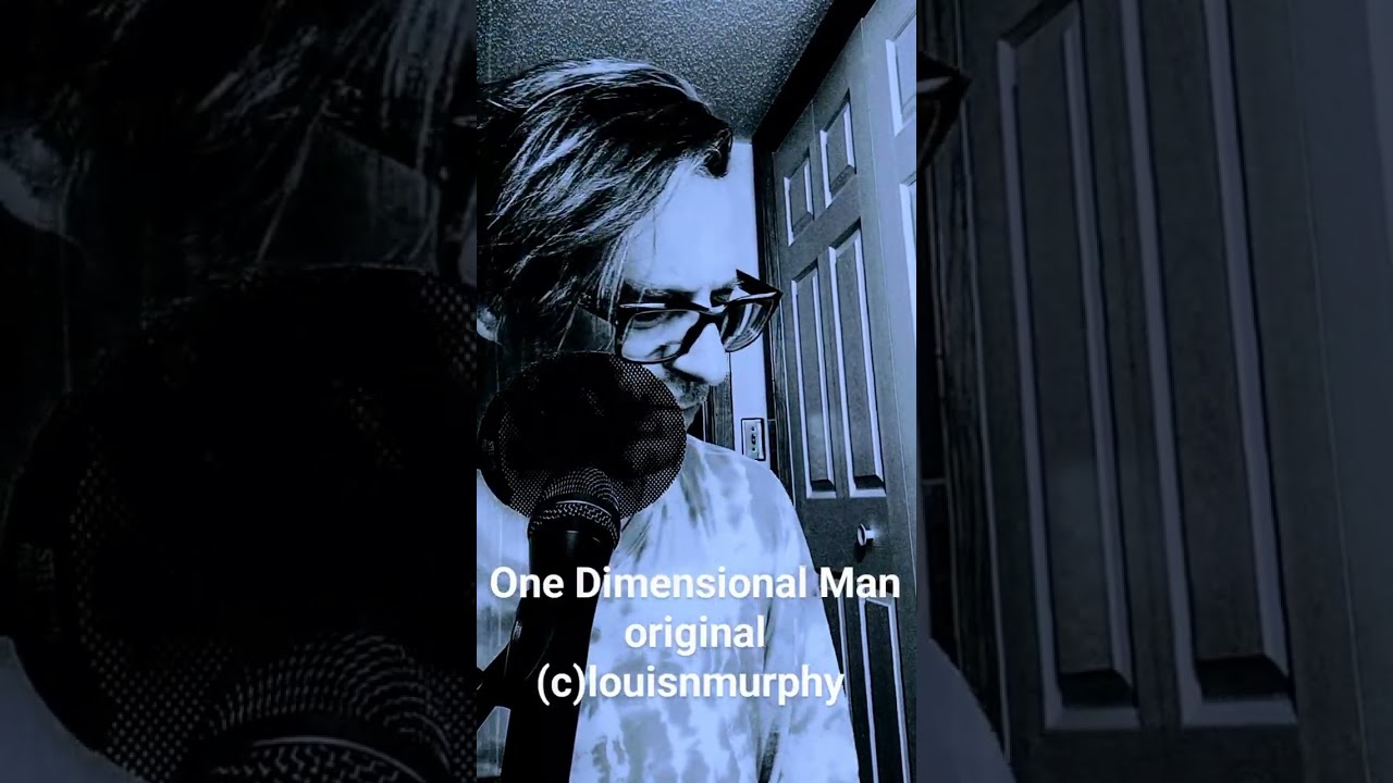 One Dimensional Man original music by Twin Cities folk fusion artist louisnmurphy