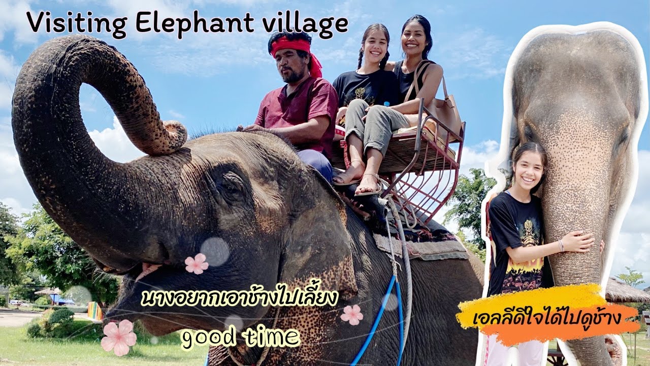 AusThai life | พาเอลลีไปดูช้าง นางอยากได้ช้างไปเลี้ยงที่บ้าน