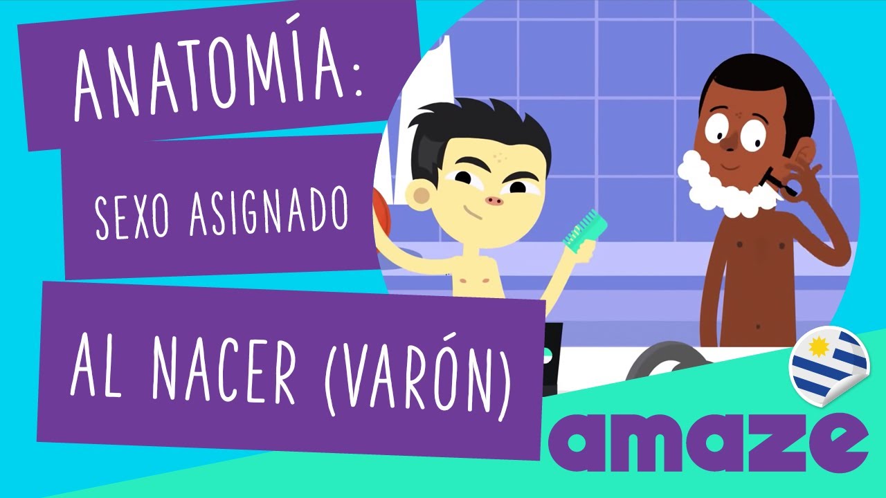 Anatomía: sexo asignado al nacer (varón) (Uruguay)