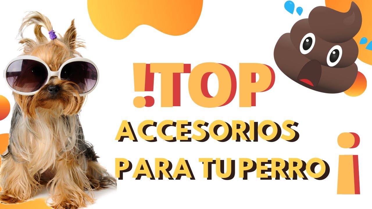 Los MEJORES GADGETS para tener PERROS en CASA (ACCESORIOS AMAZON)/ACCESORIOS PARA PERRO