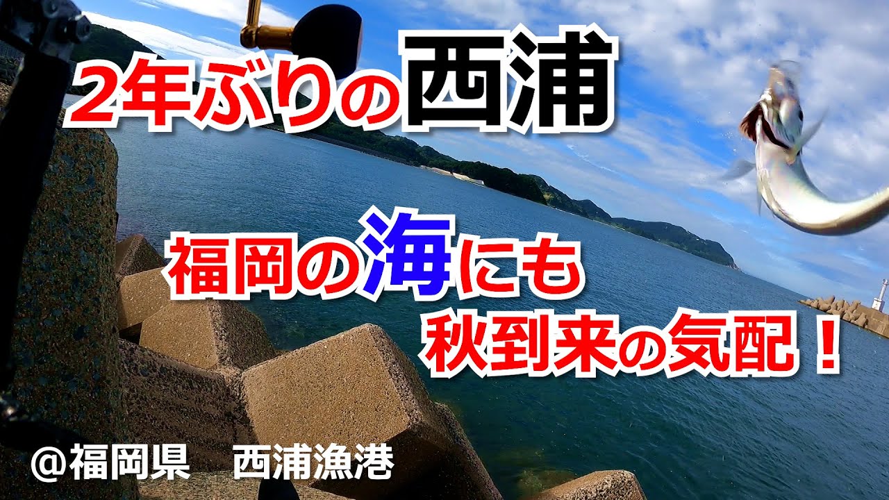 2025年9月中旬　福岡市　西浦漁港　釣行