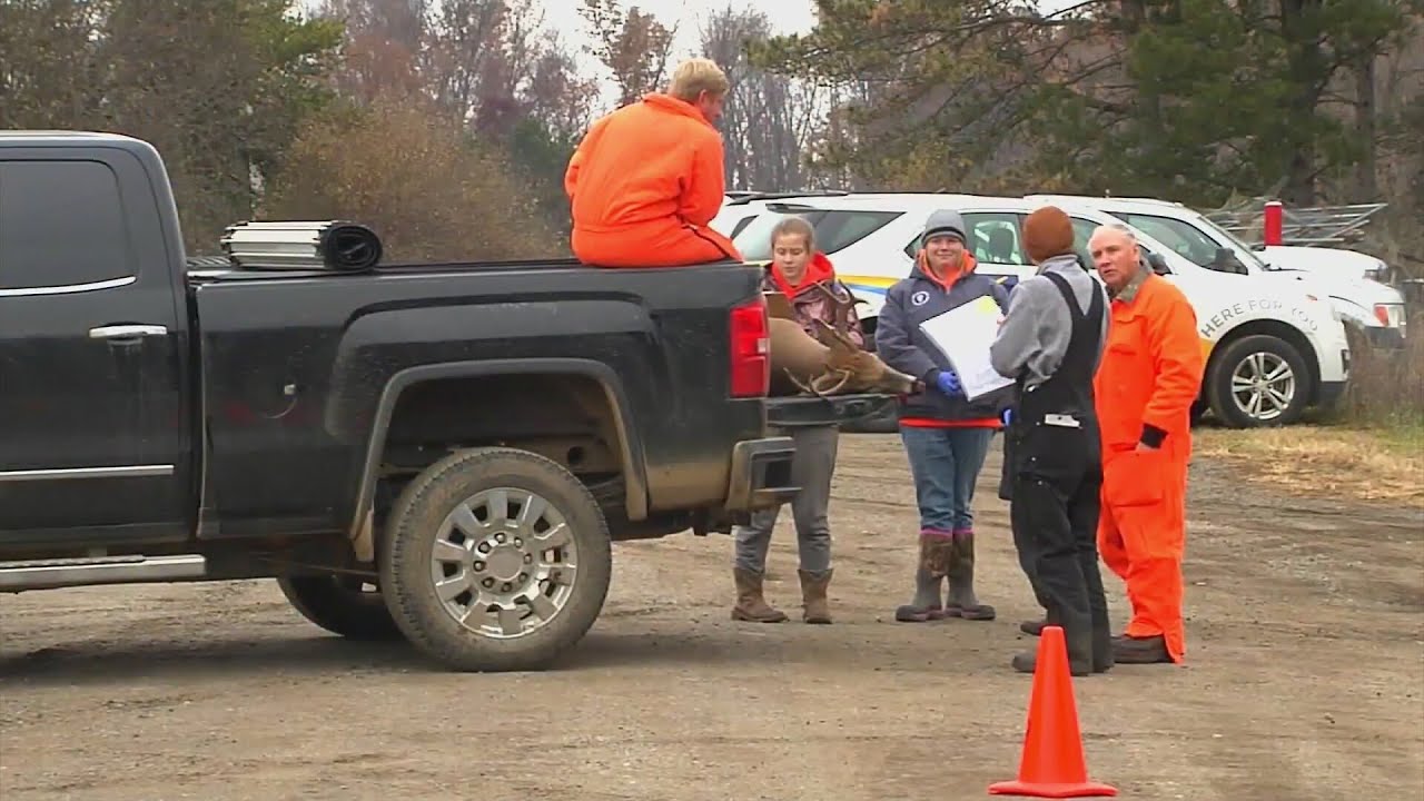 DNR encourages Wisconsin hunters to test deer for CWD this season