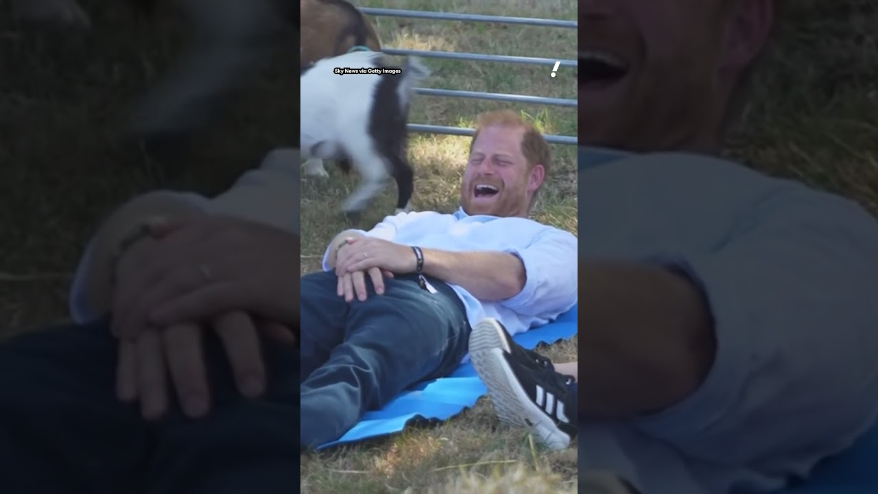 Prince Harry laughs off 'goat yoga' mishap at UK charity festival |  #yahooaustralia