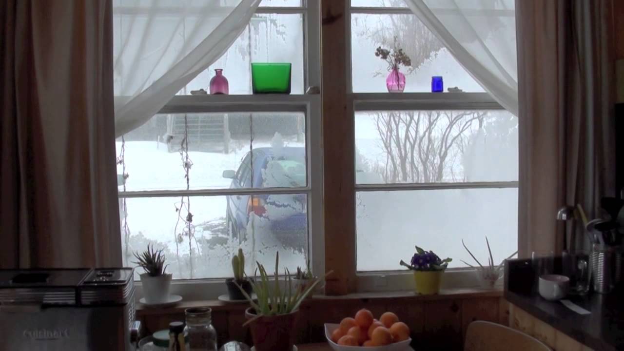 Snowstorm From Inside the House