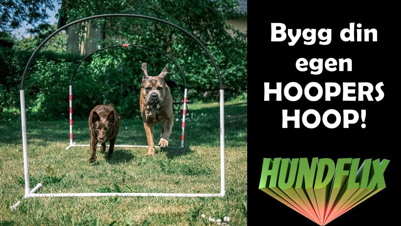 Bygg egna hoopar till hoopers