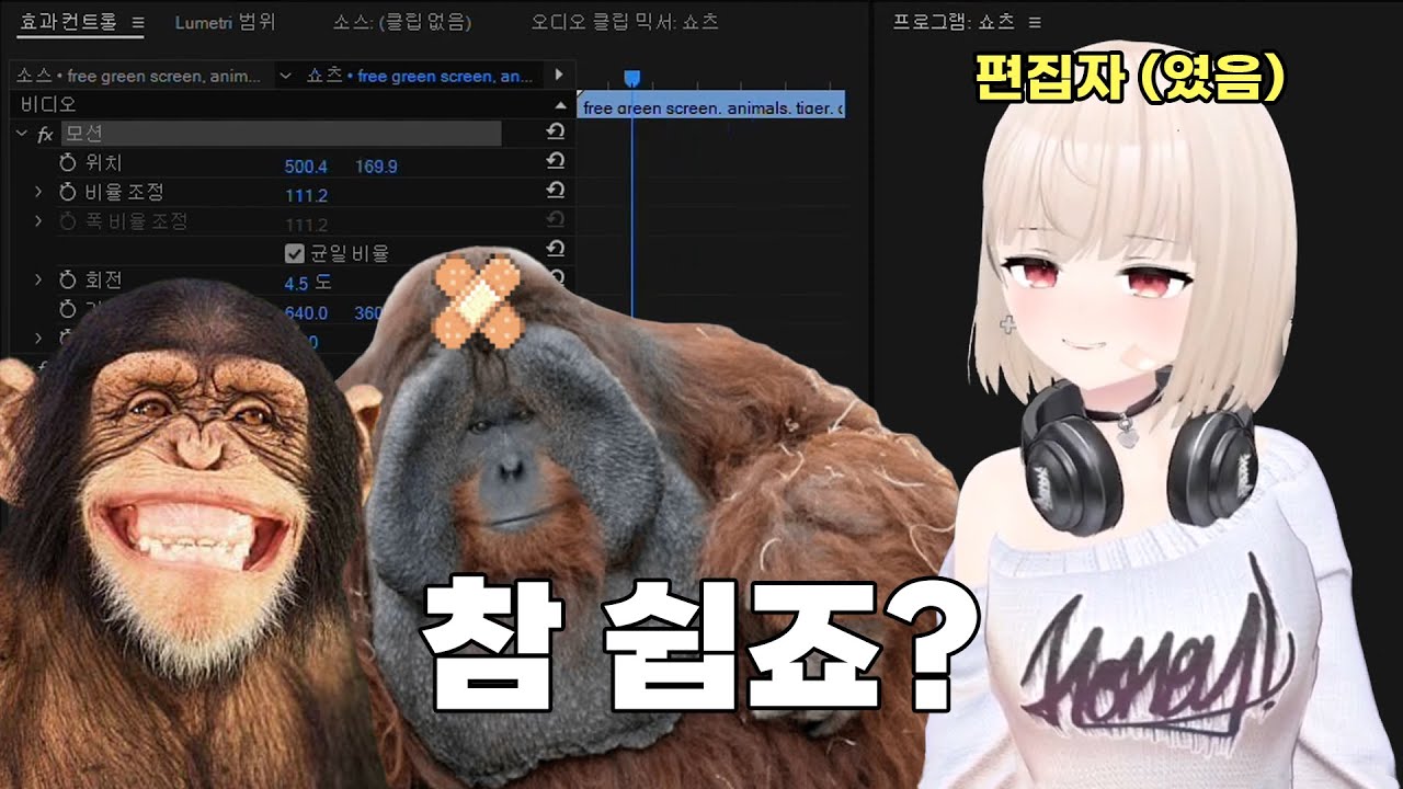 [계춘회] 원숭이도 따라할 수 있는 편집강의