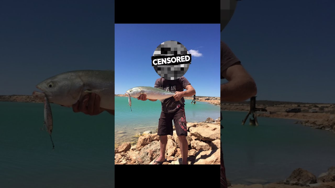 Bite trace for fish with teeth or sharks 