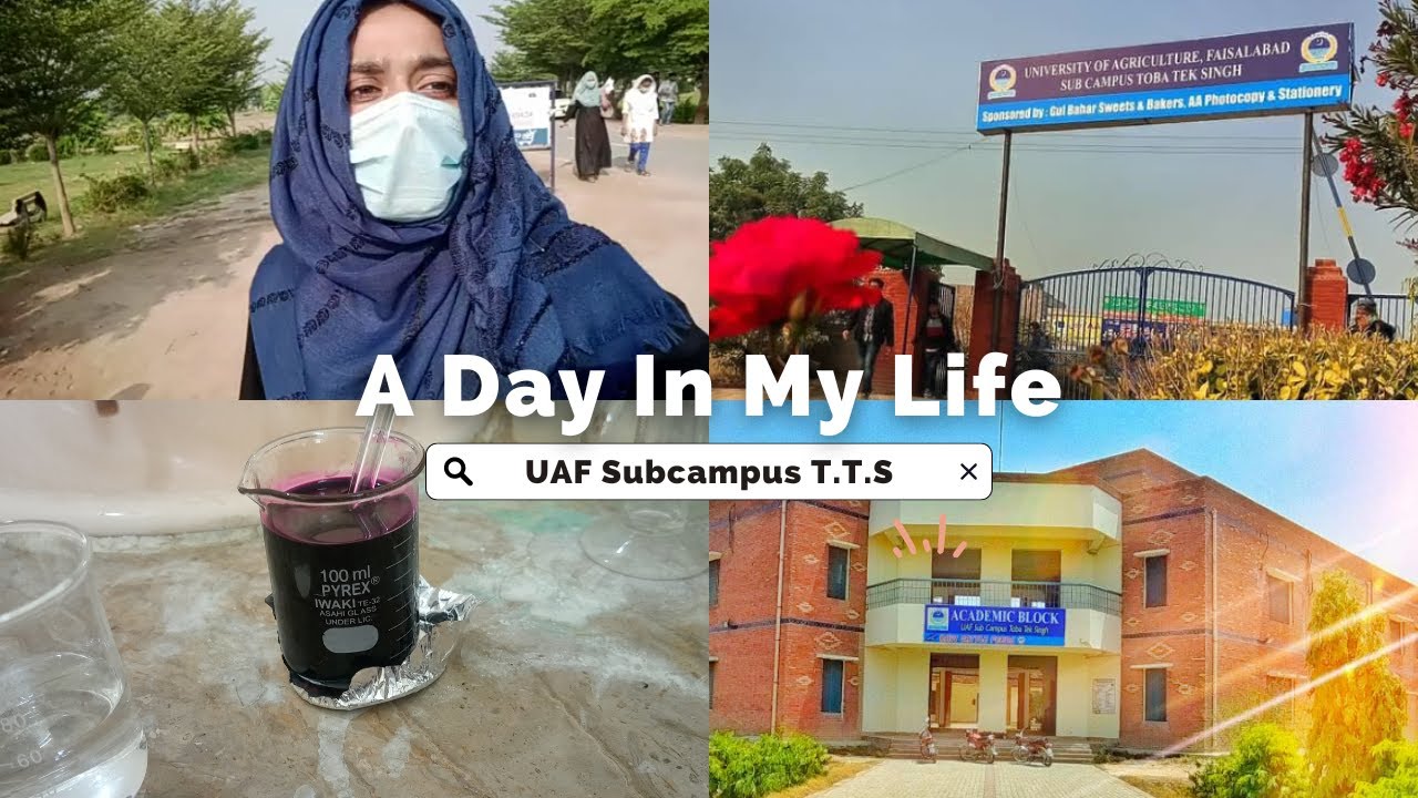 A Random Day at University || University of Agriculture Faislabad Subcampus T.T.S #uaftts