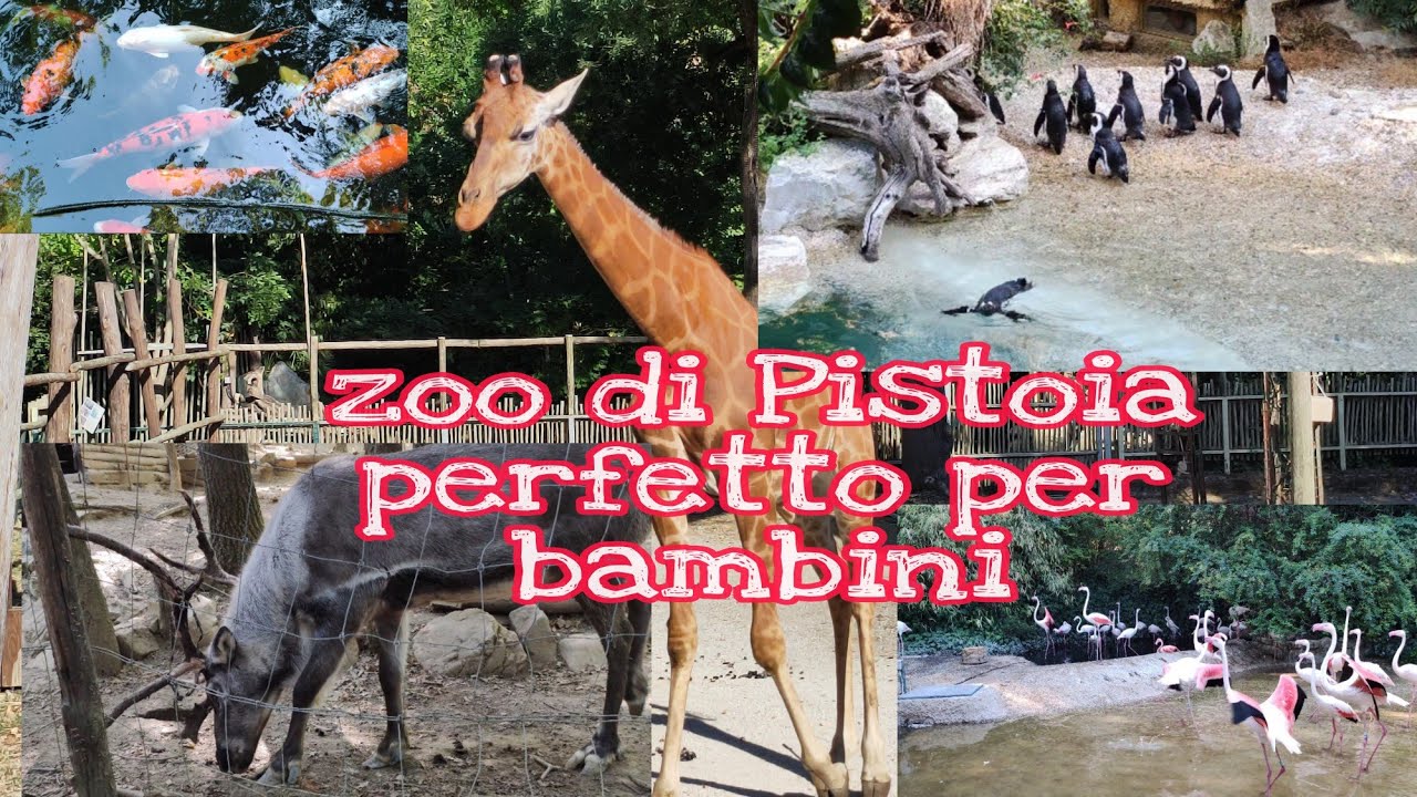 Zoo di Pistoia Italy perfetto per bambini | Roy's Kitchenary