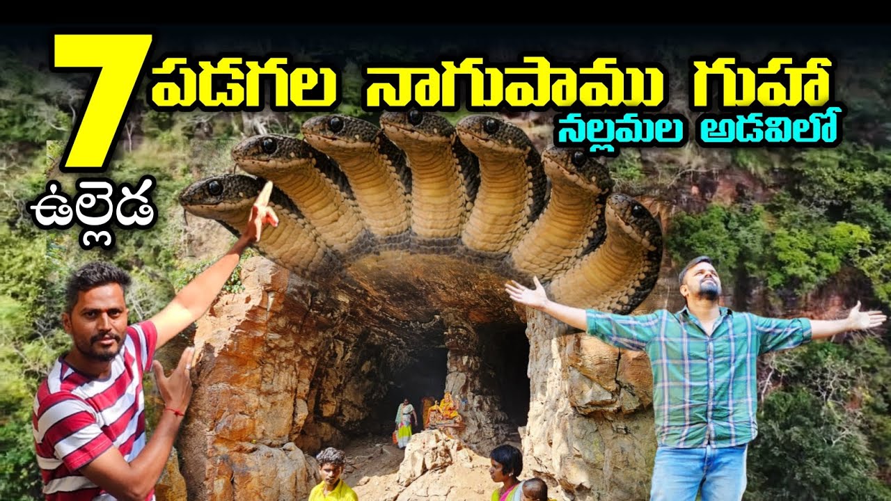  నల్లమల అడవిలో 7 పడగల నాగుపాము గుహా చూడండి... # ulleda Malleshwara Swamy Temple Near Ahobilam
