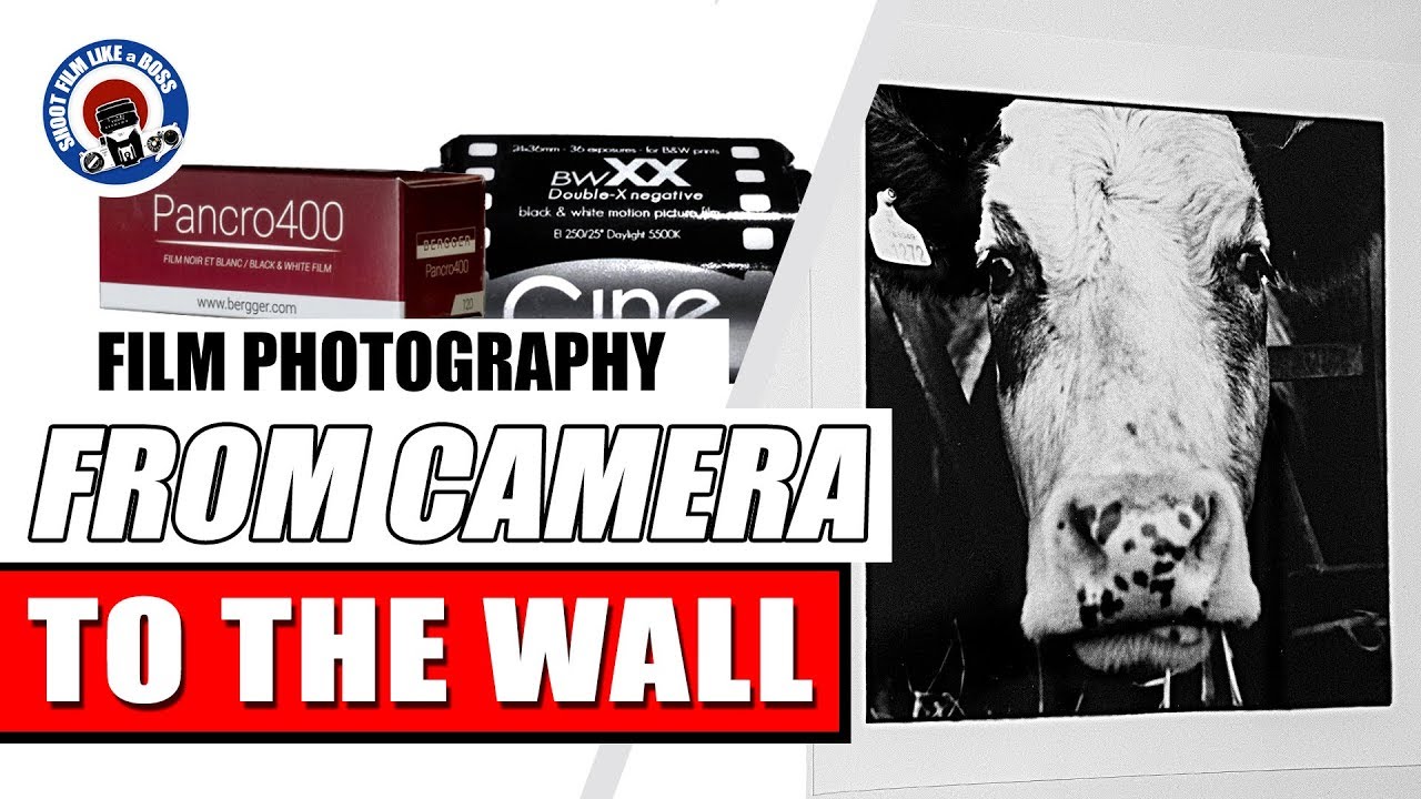 CINESTILL BWXX FILM AND D96 DEVELOPER. I LIKE IT!